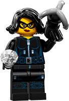 Jewel Thief - 71011
