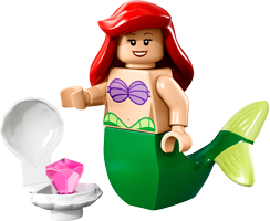 Ariel - 71012