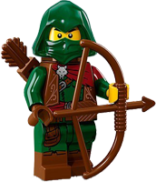 Rogue - 71013