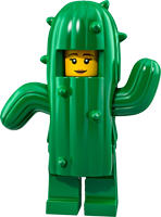 Cactus Girl - 71021
