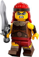 Fierce Barbarian - 71045