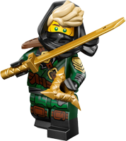Mysterious Ronin - 71052