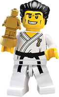Karate Master - 8684